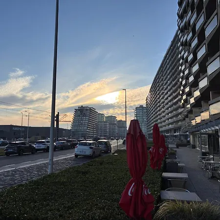 Apartment Op De Zeedijk In - Aldis 0320